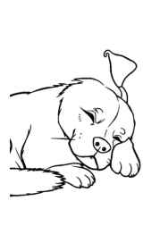 Dog Maja Coloring Book 1F15569C (12 Coloring Pages)