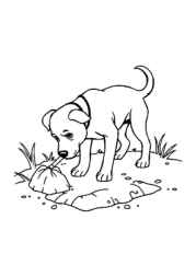 Dog Maja Coloring Book 40FC7C9E (12 Coloring Pages)