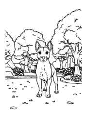 Dog Pia Coloring Book 3BEDB87B (12 Coloring Pages)