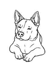 Dog Pia Coloring Book 3BEDB87B (12 Coloring Pages)