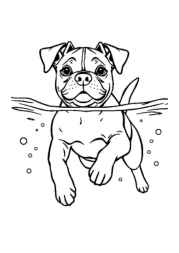 Dog Pia Coloring Book 3BEDB87B (12 Coloring Pages)