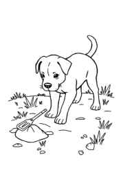 Dog Pia Coloring Book EA6568E2 (12 Coloring Pages)