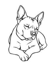 Dog Pia Coloring Book EA6568E2 (12 Coloring Pages)