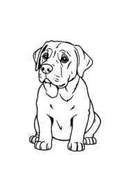 Dogs Coloring Book 20048EA9 (12 Coloring Pages)