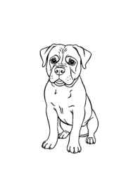 Dogs Coloring Book 2F3044B4 (12 Coloring Pages)