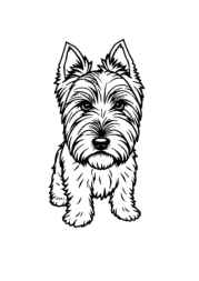 Dogs Coloring Book 3460591B (12 Coloring Pages)
