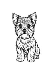 Dogs Coloring Book 6388D504 (12 Coloring Pages)