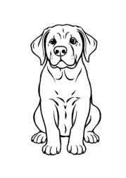 Dogs Coloring Book 6388D504 (12 Coloring Pages)