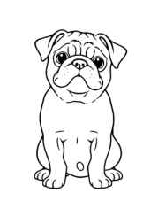Dogs Coloring Book 6388D504 (12 Coloring Pages)