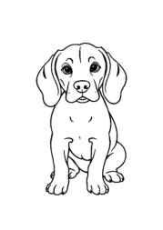 Dogs Coloring Book D8750A77 (12 Coloring Pages)