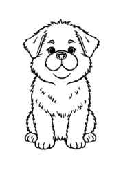 Dogs and Cats Coloring Book 6C002339 (12 Coloring Pages)