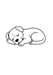 Dogs and Cats Coloring Book CE2A53E8 (12 Coloring Pages)