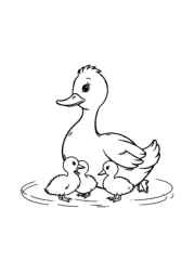 Duck Esther Coloring Book 08279196 (12 Coloring Pages)