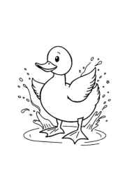 Duck Esther Coloring Book 08279196 (12 Coloring Pages)