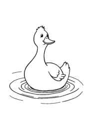 Duck Esther Coloring Book 08279196 (12 Coloring Pages)