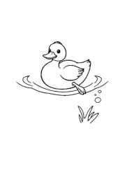 Duck Esther Coloring Book B20A3105 (12 Coloring Pages)