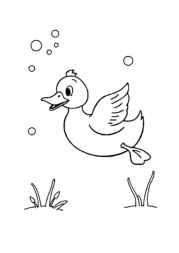 Duck Esther Coloring Book B20A3105 (12 Coloring Pages)