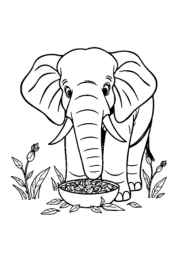 Elephant Klea Coloring Book 121D64EB (12 Coloring Pages)