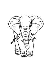 Elephant Klea Coloring Book 121D64EB (12 Coloring Pages)
