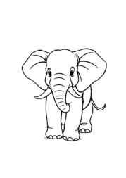 Elephant Klea Coloring Book 121D64EB (12 Coloring Pages)