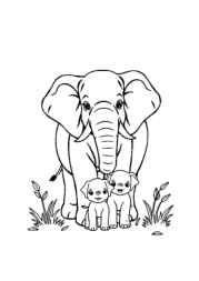 Elephant Klea Coloring Book 121D64EB (12 Coloring Pages)