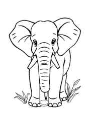 Elephant Klea Coloring Book 566ADB66 (12 Coloring Pages)