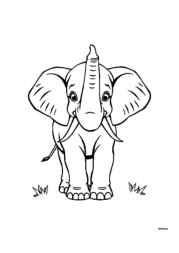 Elephant Klea Coloring Book 566ADB66 (12 Coloring Pages)