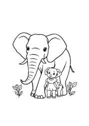 Elephant Klea Coloring Book 566ADB66 (12 Coloring Pages)