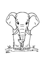 Elephants Coloring Book DDDA405A (12 Coloring Pages)
