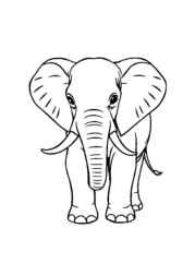 Elephants Coloring Book DDDA405A (12 Coloring Pages)