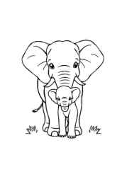 Elephants Coloring Book DDDA405A (12 Coloring Pages)