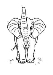 Elephants Coloring Book DDDA405A (12 Coloring Pages)