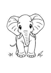 Elephants Coloring Book DDDA405A (12 Coloring Pages)