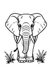 Elephants Coloring Book DDDA405A (12 Coloring Pages)