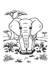 Elephants Coloring Book DDDA405A (12 Coloring Pages)