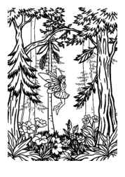 Fairies Coloring Book 50038B06 (12 Coloring Pages)