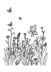Fairies Coloring Book 50038B06 (12 Coloring Pages)