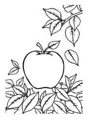 Fall/Autumn Coloring Book 5B02C764 (12 Coloring Pages)