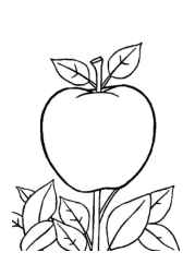 Fall/Autumn Coloring Book ABEBE400 (12 Coloring Pages)