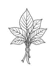 Fall/Autumn Coloring Book ABEBE400 (12 Coloring Pages)