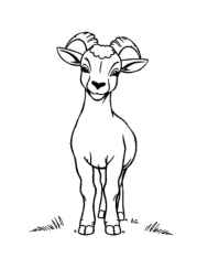 Farm Animals Coloring Book 1F64A02E (12 Coloring Pages)