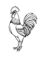 Farm Animals Coloring Book 1F64A02E (12 Coloring Pages)