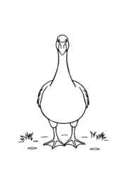 Farm Animals Coloring Book 2CB44C2F (12 Coloring Pages)