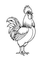 Farm Animals Coloring Book 2CB44C2F (12 Coloring Pages)