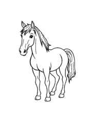 Farm Animals Coloring Book 2CB44C2F (12 Coloring Pages)