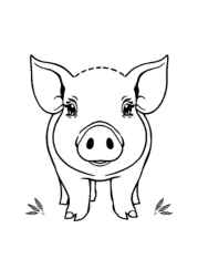 Farm Animals Coloring Book 5A76597E (12 Coloring Pages)