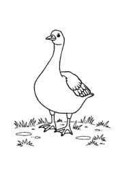 Farm Animals Coloring Book 889DF2A0 (12 Coloring Pages)