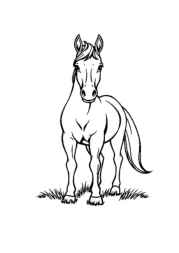 Farm Animals Coloring Book 889DF2A0 (12 Coloring Pages)