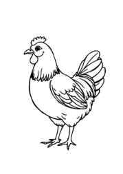 Farm Animals Coloring Book 889DF2A0 (12 Coloring Pages)