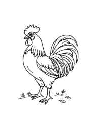 Farm Animals Coloring Book 889DF2A0 (12 Coloring Pages)